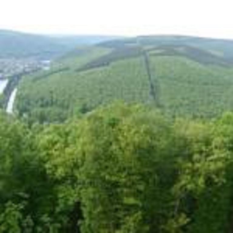 Gite Du Coucou Hargnies Buitenkant foto